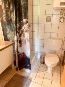 La salle de bains est pourvue d'une douche et de toilettes. dans l'établissement Ferienwohnung mit Garten - a88519, à Feistritz im Rosental