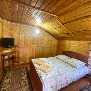 Telewizja i/lub zestaw kina domowego w obiekcie Pid Playem