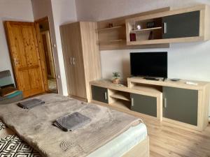 Habitación con cama y TV de pantalla plana. en GANCZ APARTMAN, en Sárvár
