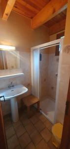 W łazience znajduje się umywalka i prysznic. w obiekcie Hôtel des Bateliers w mieście La Malène