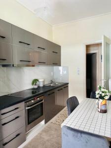 Η κουζίνα ή μικρή κουζίνα στο Modern Athenian Apartment