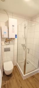 y baño con ducha y aseo. en Apartment 4 in Altstadt in Angermünde, en Angermünde
