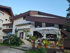 a building with an umbrella in front of it at Randunica in Văliug