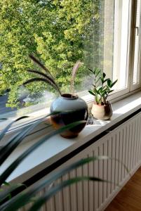 two potted plants sitting on a window sill at Trendy apartment in the heart of green Lahti, free parking in Lahti