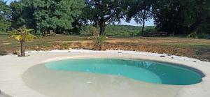 a small swimming pool in the middle of a yard at L'Arbre penché in Bassoues