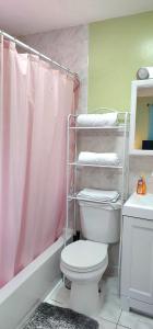 baño con cortina de ducha rosa y aseo en Modern 2BR Apartment Jamaica Queens NYC en Hillside