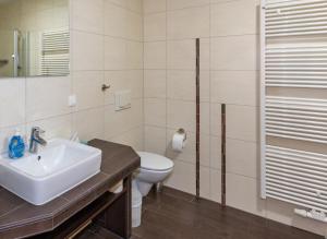La salle de bains est pourvue d'un lavabo et de toilettes. dans l'établissement WassermannApartments, à Burg