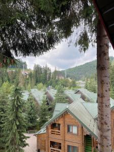 a log cabin in the woods with a tree at Bukovynskiy Zatyshok Chalet in Bukovel