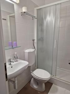 a bathroom with a toilet and a sink and a shower at Grand Bells Bed And Breakfast in Zagreb