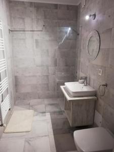 ein Bad mit einem Waschbecken, einer Dusche und einem WC in der Unterkunft Grey Residence Apartament in Târgu Mureș