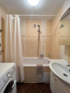 a bathroom with a shower and a tub and a sink at Lakeview Retreat in Vievis in Vievis +12 photos