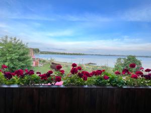 um monte de rosas vermelhas numa cerca com vista para a água em Lakeview Retreat in Vievis em Vievis