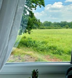 une fenêtre avec vue sur un champ d'herbe dans l'établissement Familienfreundlichen Apartment mit traumhaft grüner Aussicht, à Hambourg