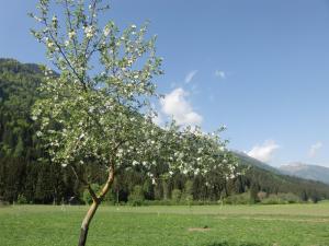 Paesaggio naturale nelle vicinanze dell'agriturismo