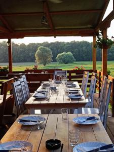 a long wooden table with chairs and plates and glasses at Zmaj Ognjeni Etno Concept in Kupinovo