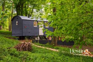 a tiny house in the middle of a forest at Red Kite Retreat - Pansy - Shepherds Hut 3 in Henley on Thames