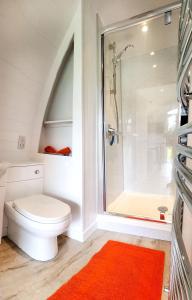 a bathroom with a shower and a toilet and a glass shower backdoor at Bombie Glamping Pod in Grantown on Spey