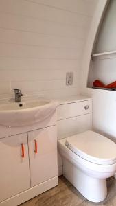 a bathroom with a sink and a toilet at Bombie Glamping Pod in Grantown on Spey