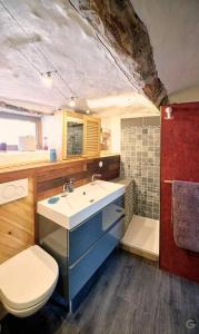 ein Bad mit einem Waschbecken und einem WC in der Unterkunft Le Forgite - Gîte de charme in Matagne-la-Petite