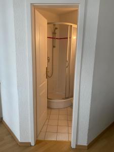 a bathroom with a shower and a walk in shower at City Apartment Dresden in Dresden