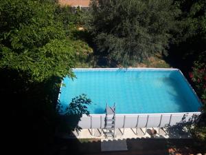 - une vue sur la piscine bordée de chaises et d'arbres dans l'établissement VIVIENDA TURÍSTICA LOS OLIVOS, à Fontellas