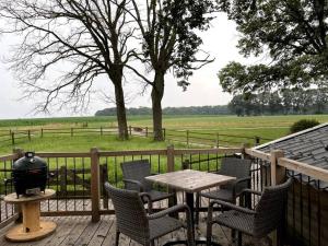 a table and chairs on a deck with a grill at Natuurhuisje Markelo, zeer compleet, met veel luxe in Markelo