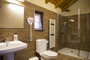 ein Bad mit einem WC, einem Waschbecken und einer Dusche in der Unterkunft Casa rural Txikirrin Txiki - Selva de Irati in Villanueva de Aézcoa
