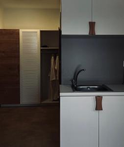 a kitchen with a sink and a door to a closet at Athos Cape in Pyrgadikia