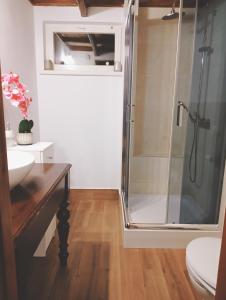 a bathroom with a shower and a sink at Niezapominajka in Bystrzyca Kłodzka +8 photos