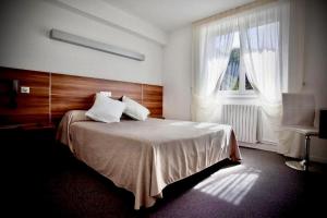 - une chambre avec un grand lit et une fenêtre dans l'établissement Logis Hôtel Restaurant L'Europe, à Marvejols