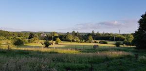 ein Feld mit einem Zaun und Bäumen in der Ferne in der Unterkunft De La Terre Farm Stay in Lignieres-Orgeres