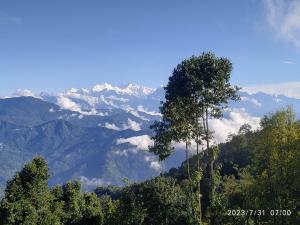 een uitzicht op een bergketen met een boom op de voorgrond bij Dawn Home Stay in Darjeeling