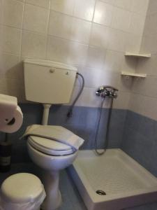 uma casa de banho com um WC e um chuveiro. em Armenaki em Azolimnos