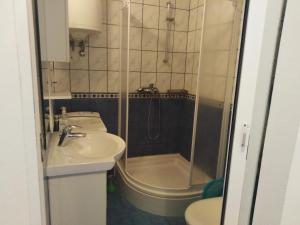 Koupelna v ubytování Apartman Cvitan