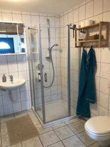 La salle de bains est pourvue d'une douche, de toilettes et d'un lavabo. dans l'établissement Moselidylle und Cityflair - Ferienwohnung Beth, à Coblence