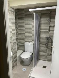 a small bathroom with a toilet and a shower at Pontevedra Centro adosado in Pontevedra
