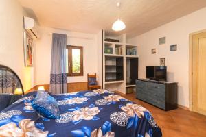 1 dormitorio con 1 cama y TV en Home on the hill en Tempio Pausania