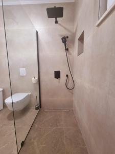 杜布罗夫尼克Marich Homestay的带淋浴和卫生间的浴室 更多15张照片