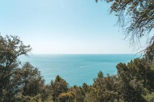 uma vista para o oceano a partir do topo de uma colina em Casacon Sirolo em Sirolo