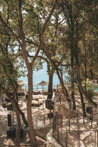 Casacon Sirolo في سيرولو: مجموعة من الأشجار مع طاولات ومظلات على الشاطئ