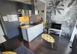 a kitchen with a island in the middle of a room at 'Les Tropiques' - Parking privé - Balcon - Tout confort in Joue-les-Tours +24 photos