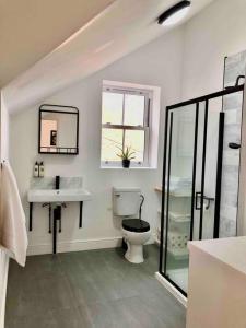 een badkamer met een toilet, een wastafel en een spiegel bij A perfectly located bright, modern ,Victorian flat in Royal Tunbridge Wells
