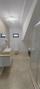 łazienka z umywalką i toaletą w obiekcie Casira Guesthouse w mieście Sînmartin