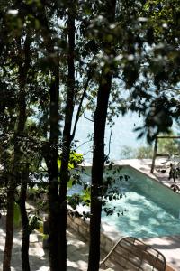 una piscina con 2 sillas y árboles en Casacon Sirolo en Sirolo