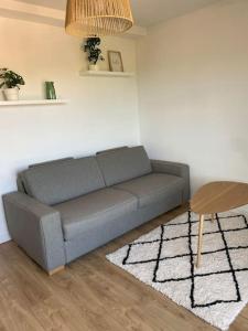 uma sala de estar com um sofá e uma mesa em Ramonville parking netflix em Ramonville-Saint-Agne