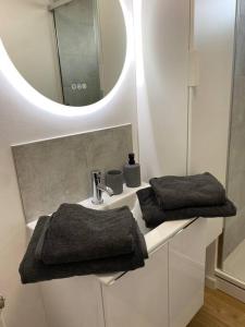een badkamer met een wastafel en een spiegel bij Ramonville parking netflix in Ramonville-Saint-Agne