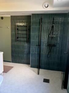 ein Bad mit einer Dusche und grünen Fliesenböden in der Unterkunft Idyllic Suite in the Heart of Tammisaari in Tammisaari + 6 Fotos