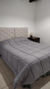 een slaapkamer met een groot bed en een tafel bij DEPARTAMENTO RENATO in Godoy Cruz