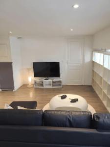 a living room with a couch and a tv at Appartement charmant américain in Hardricourt