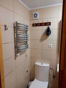 baño con aseo blanco en una habitación en Chatka Góralska w Borkowie, en Borkowo